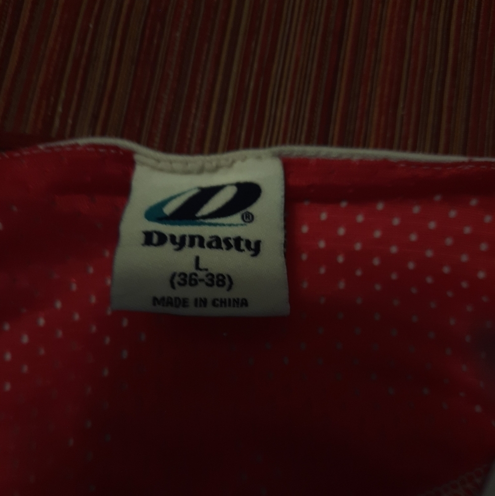 Dynasty Official  Men's Angels Jersey - Picture 6 of 6